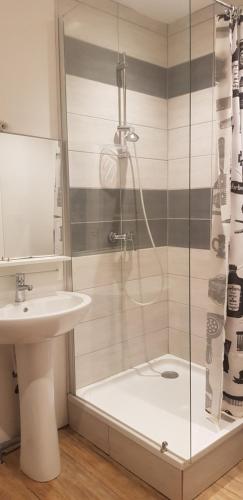 een badkamer met een douche en een wastafel bij Centre ville le Puy-en-Velay au 1er étage in Le Puy en Velay