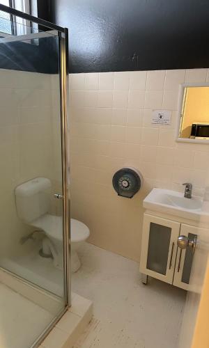 a bathroom with a shower and a toilet and a sink at St George Hotel Motel in Saint George