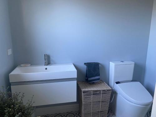 uma casa de banho com um lavatório branco e um WC. em Stay@10 em Blenheim