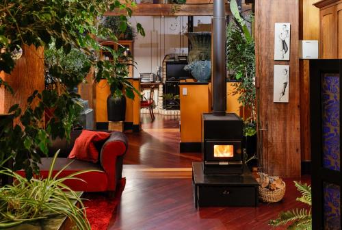 a living room with a stove in a room with plants at Little Donkey Bay in Russell