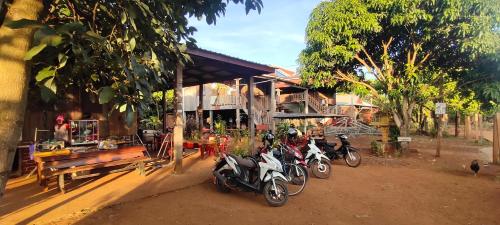 Fotografie z fotogalerie ubytování Tree Trails Homestay & Offers Jungle Trekk-Scooter For Rental v destinaci Banlung