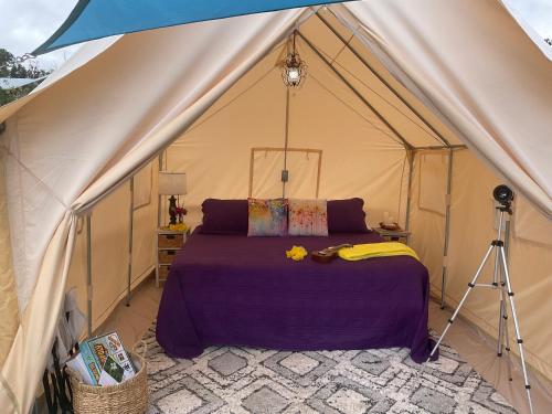 a bedroom in a tent with a bed and a camera at Tiki Cabana in Hawaiian Ocean View