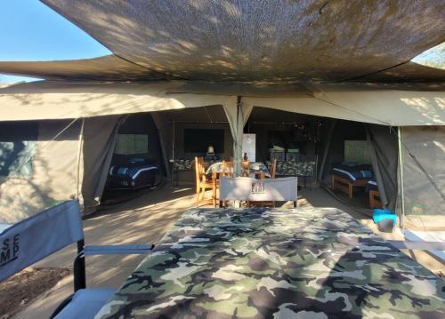 Fotografie z fotogalerie ubytování Thorn Tree Bush Camp v destinaci Klipdrift