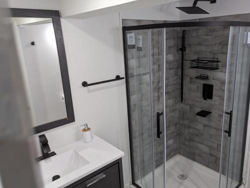 a bathroom with a shower and a sink at House of Pleasantness in Hamilton