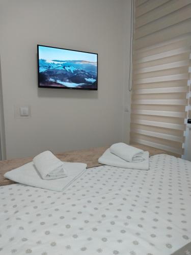 um quarto com duas camas e uma televisão na parede em Lider Lux Apartman em Arandjelovac
