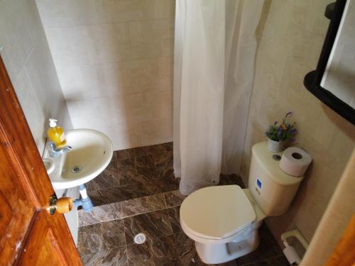 グアタビータにあるRancho New Life Guatavitaの小さなバスルーム(トイレ、シンク付)