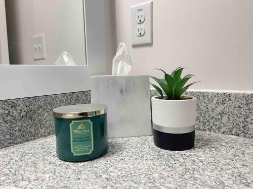 a plant sitting on top of a counter in a bathroom at Modern 1br - 15 from Airport in Stockbridge