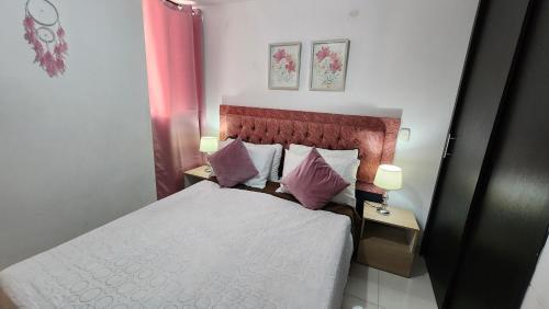 メデジンにあるApartamento centralのベッドルーム1室(ピンクの枕が付いたベッド1台付)