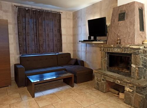 a living room with a couch and a fireplace at Apartaments Gory in Niedzica Zamek