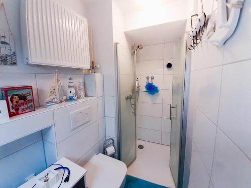 a small bathroom with a shower and a toilet at Goethes Haus in Göttingen