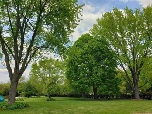 a group of trees in a green field at Newly Remodeled 2BR 2BA Home - Close to Barrington in Barrington