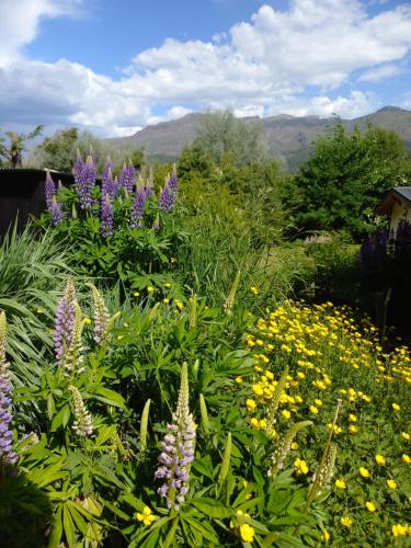 un jardín de flores con montañas en el fondo en Tranquera's house en San Martín de los Andes