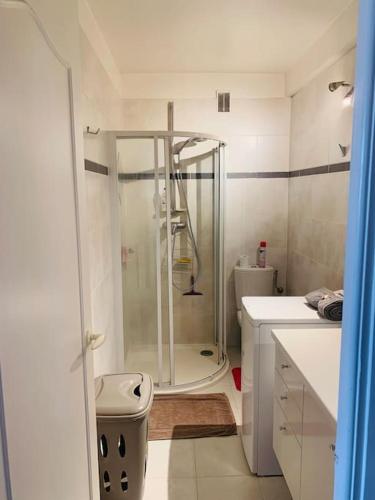 une salle de bain avec douche et toilettes dans l'établissement Studio cocooning, à Nice