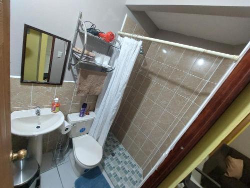 un piccolo bagno con servizi igienici e lavandino di La Campana a San Miguel