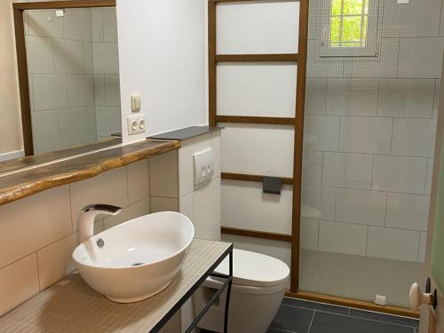 une salle de bain avec un lavabo et des toilettes dans l'établissement Grande villa rénovée avec piscine, clim et Wi-Fi au coeur du Luberon - FR-1-708-61, à Saint-Saturnin-lès-Apt