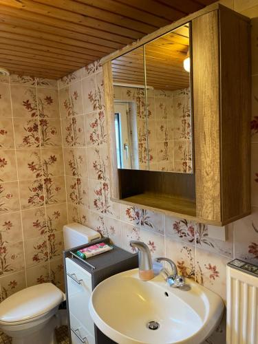 a bathroom with a sink and a toilet and a mirror at Familienhaus in Niedenstein