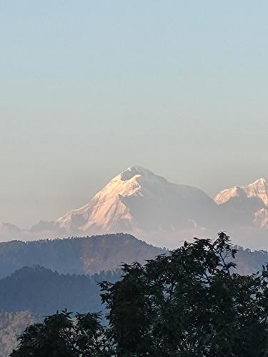 a snow covered mountain with a tree in front of it at Zenoaks Homestay in Almora