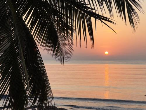 a sunset on the beach with a palm tree at Sawa Sawa Beach House in Msambweni