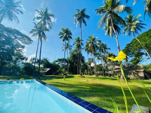 een zwembad met palmbomen op de achtergrond bij Deduru Cabana Nature Resort in Kurunegala