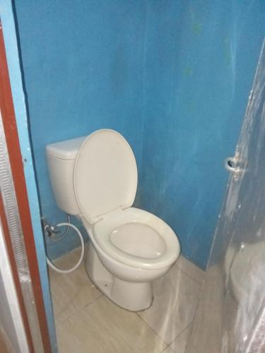 a bathroom with a white toilet in a blue wall at K ADVENTURE HOMESTAY in Ketapang
