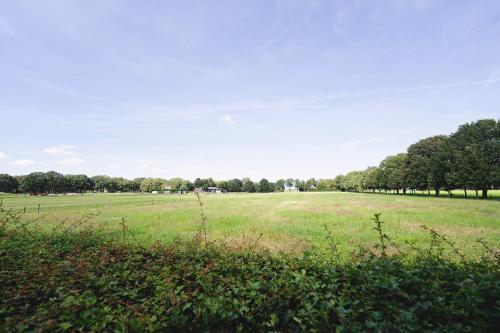 a large field of grass with trees in the background at 't Eekhoornnest in Soest