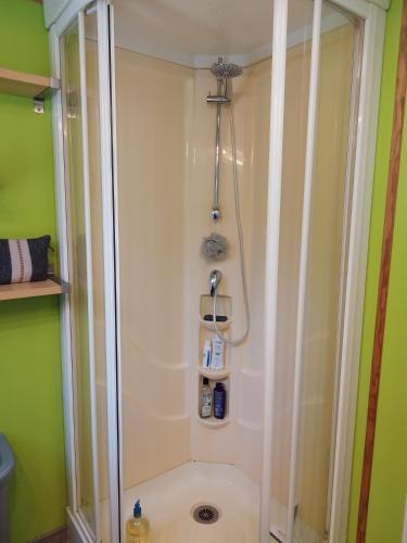 La salle de bains est pourvue d'une douche et de murs verts. dans l'établissement Mobil Home Golf de Saint Tropez, à La Garde-Freinet