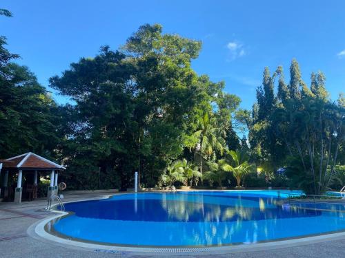 une piscine bleue avec des arbres en arrière-plan dans l'établissement Waterfront Suites Phuket by Centara NEW, à Phuket