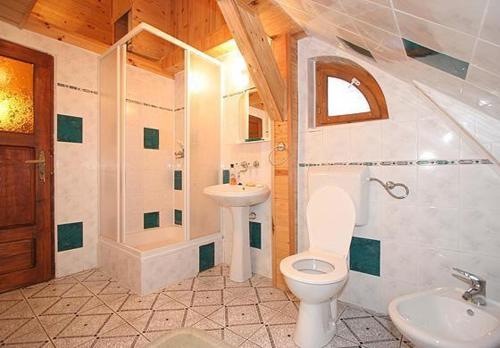 a bathroom with a toilet and a sink at Apartamenty Pod Lipami in Junoszyno