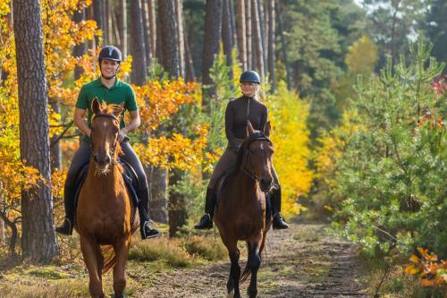 two people riding horses on a path in the woods at Pensjonat Iskra in Sztum