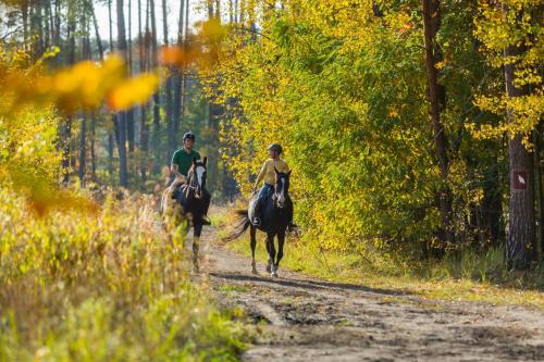 two people riding horses down a dirt road at Pensjonat Iskra in Sztum