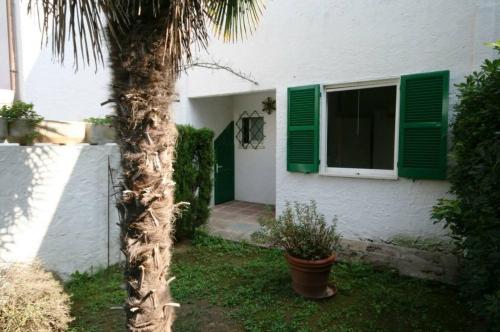 a palm tree in front of a white house with green shutters at Appartamento Bilocale Cod. 18 - Taunus Vacanze in Marcelli