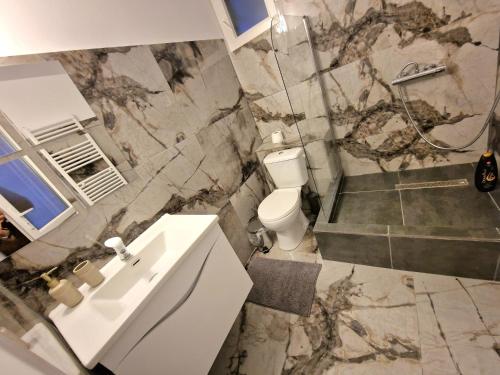a bathroom with a sink and a toilet at Gaia Villa Predeal in Predeal