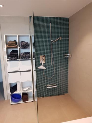 ein Bad mit einer Dusche und einer Glastür in der Unterkunft Ahornzimmer, ruhige Lage, nähe Bahnhof und Zentrum in Buchs