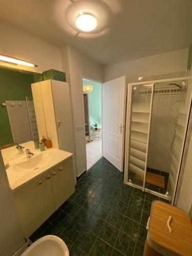 uma casa de banho com um WC, um lavatório e um chuveiro em Appartement centre-ville proche de Paris. em Limay