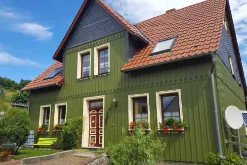 a green house with a brown roof at Das grüne Haus am Hexenstieg in Rübeland