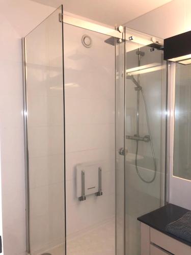 une douche avec une porte vitrée dans une salle de bain dans l'établissement Appartement charmant à Issy-les-Moulineaux 49 m² avec terrasse, à Issy-les-Moulineaux