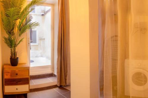 einen Flur mit einer Pflanze auf einer Kommode und einem Spiegel in der Unterkunft Appartement avec cour privée + clim séjour + wifi in Avignon