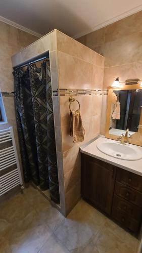 ein Bad mit einer Dusche, einem Waschbecken und einem Spiegel in der Unterkunft American Stay in Buziaş