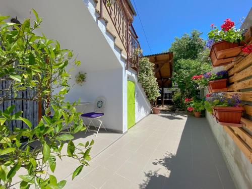 a courtyard with potted plants on the side of a building at Apartment Tomas in Novigrad Istria