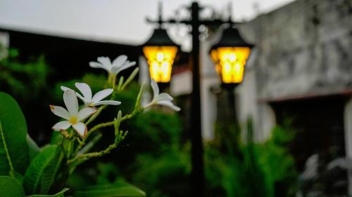 a street light with two white flowers in the foreground at Stay Banaras - A Boutique Hotel in Varanasi