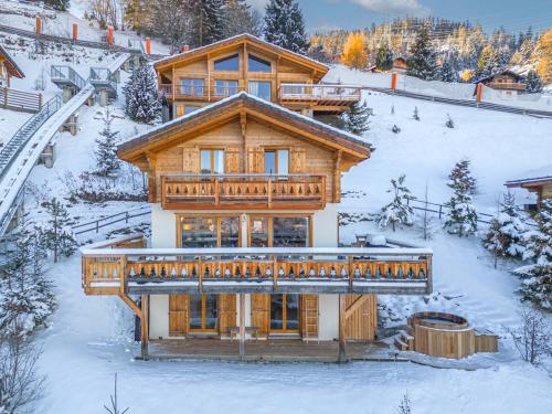 Chalet Sapin Argenté