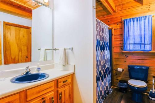 La salle de bains est pourvue de toilettes bleues et d'un lavabo. dans l'établissement Twin Creeks Lodge by AvantStay 33 Acre Retreat, à Brevard