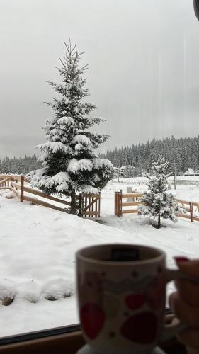 a cup of coffee in front of a snow covered tree at Vikendica Kraljica planina in Konjska Reka