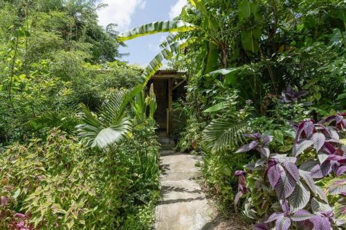 Sizo Cottage – Photos 2