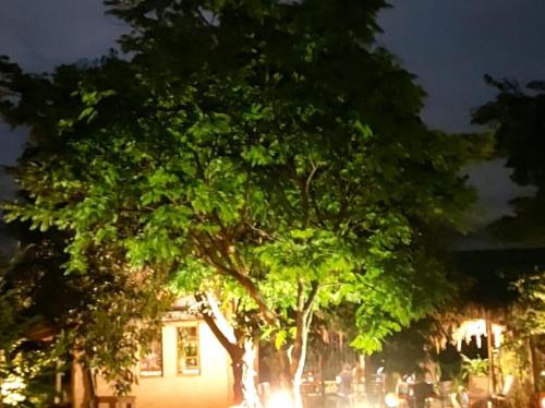 un gruppo di alberi di fronte a un edificio di Pousada da Lua a Delfinópolis