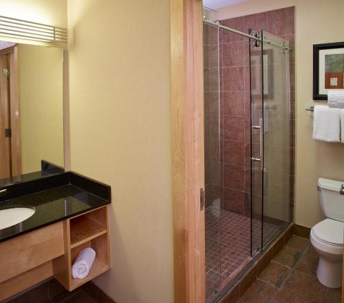 a bathroom with a shower and a toilet and a sink at LivINN Hotel Minneapolis North / Fridley in Fridley