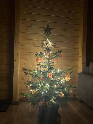 a christmas tree in a pot in a room at Dom Miłomłyn in Miłomłyn