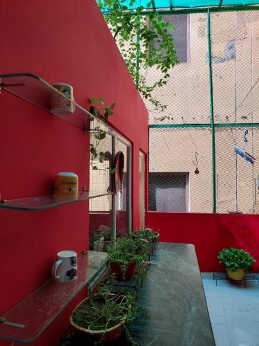 Foto de la galería de Tara Guest House en Varanasi