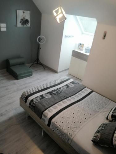 1 dormitorio con 1 cama en una habitación en Location 24H Le Mans, en Marigné-Laillé