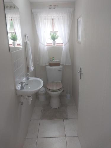 Baño pequeño con aseo y lavamanos en Modern two bedroom apartment., en Port Alfred